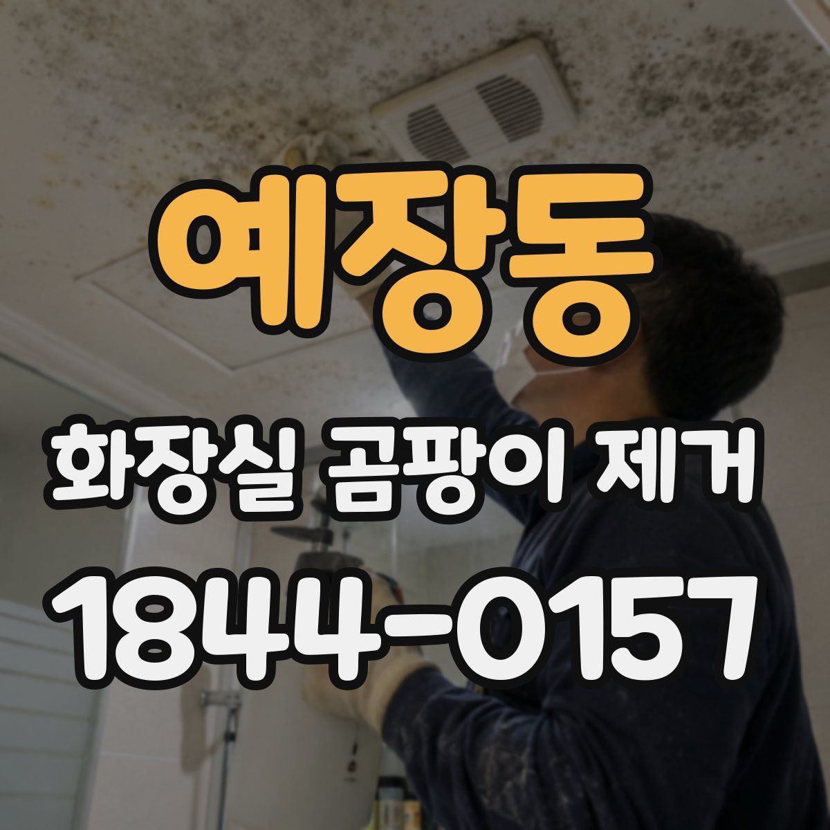 예장동 화장실 곰팡이 제거
