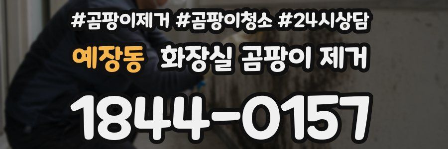 예장동 화장실 곰팡이 제거