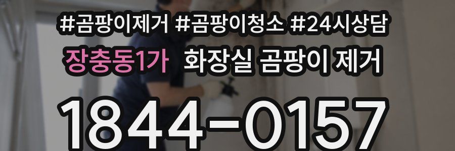 장충동1가 화장실 곰팡이 제거