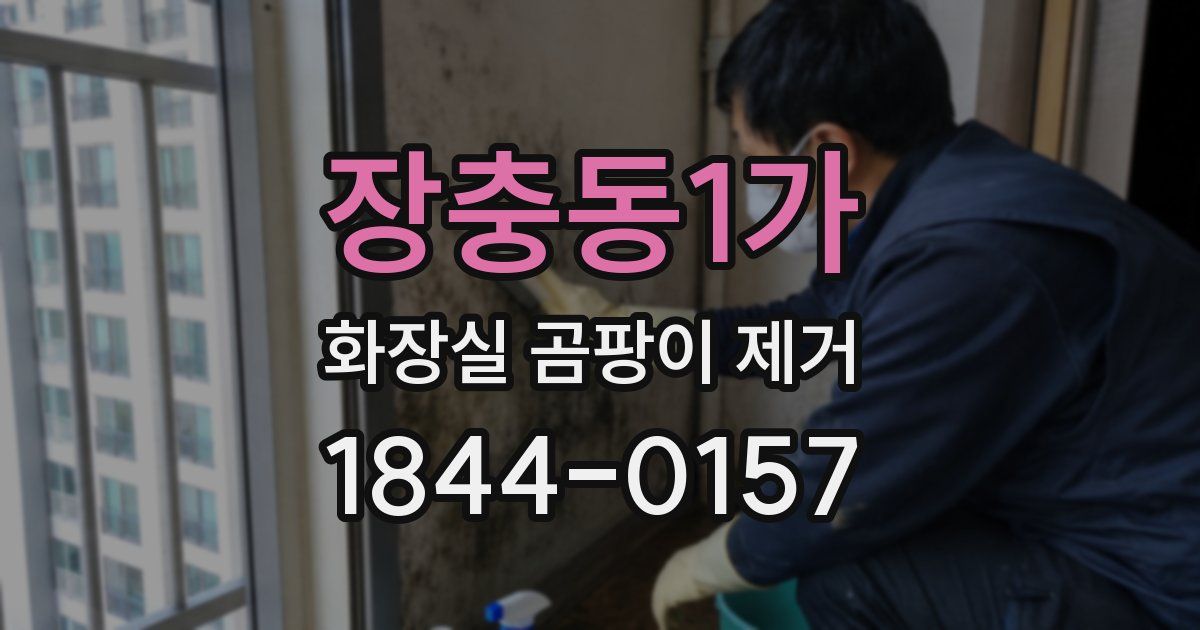 장충동1가 화장실 곰팡이 제거