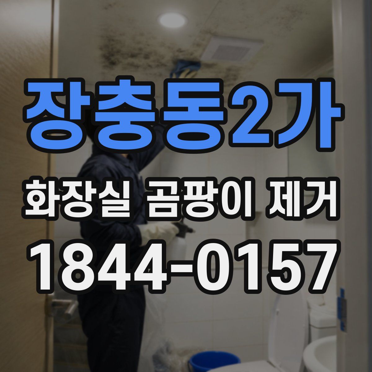 장충동2가 화장실 곰팡이 제거