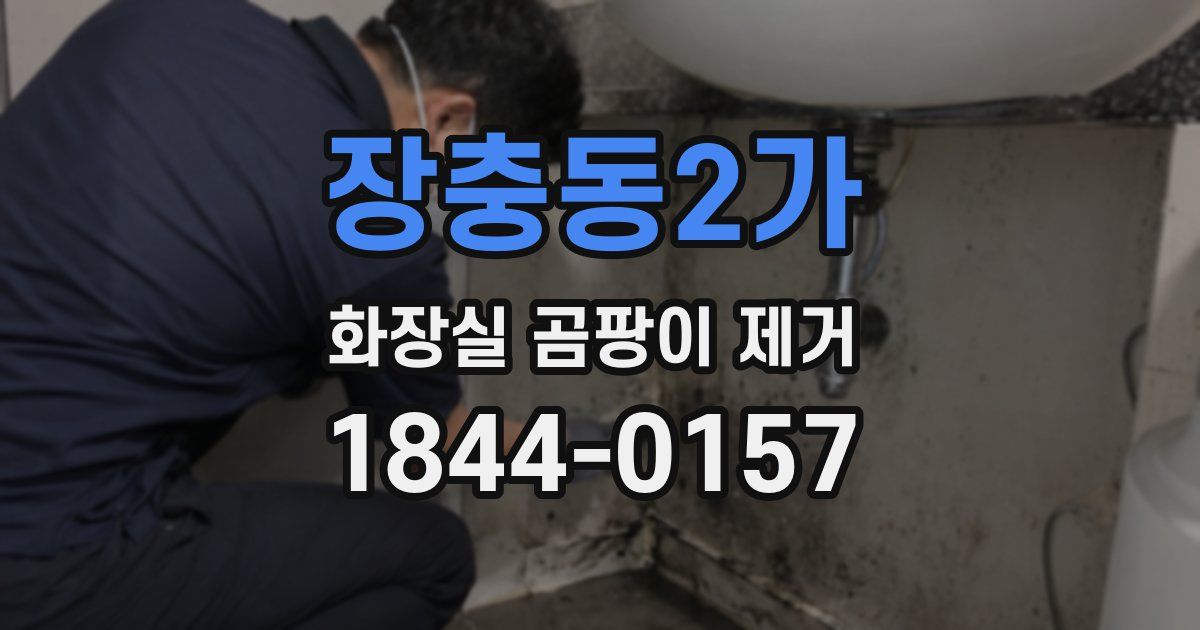 장충동2가 화장실 곰팡이 제거