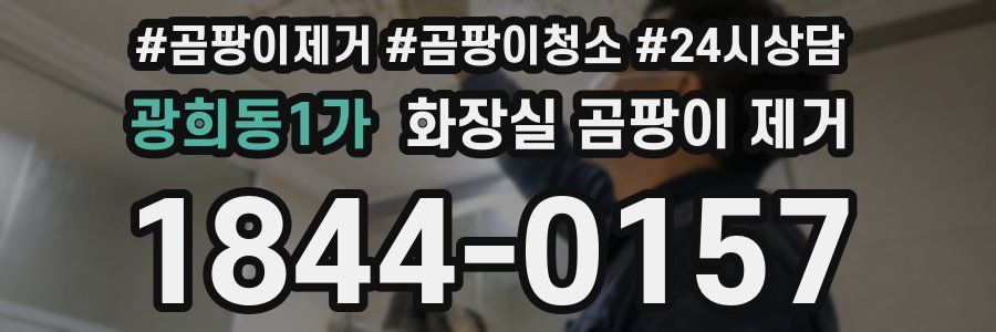 광희동1가 화장실 곰팡이 제거