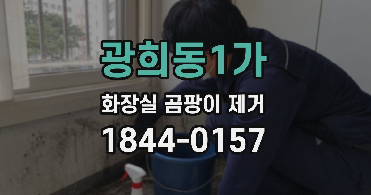 광희동1가 화장실 곰팡이 제거
