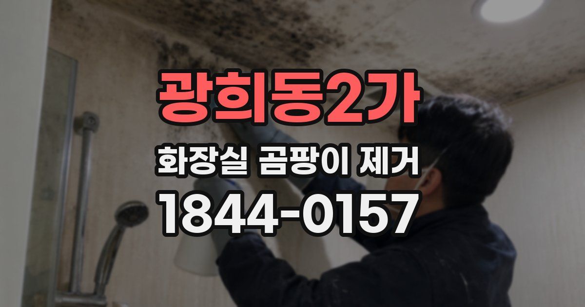 광희동2가 화장실 곰팡이 제거