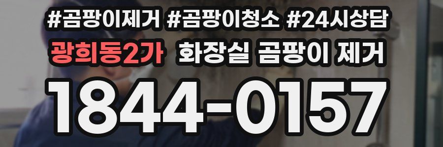 광희동2가 화장실 곰팡이 제거