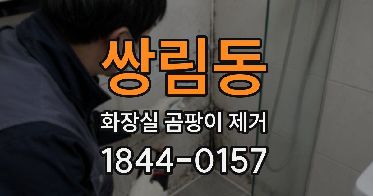 쌍림동 화장실 곰팡이 제거