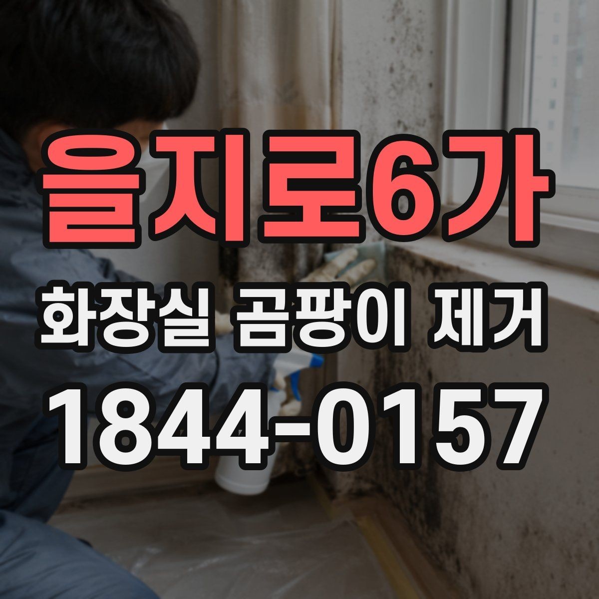 을지로6가 화장실 곰팡이 제거 벽면과 천장으로 번지기 전 막는 점검 순서