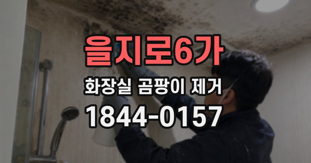 을지로6가 화장실 곰팡이 제거