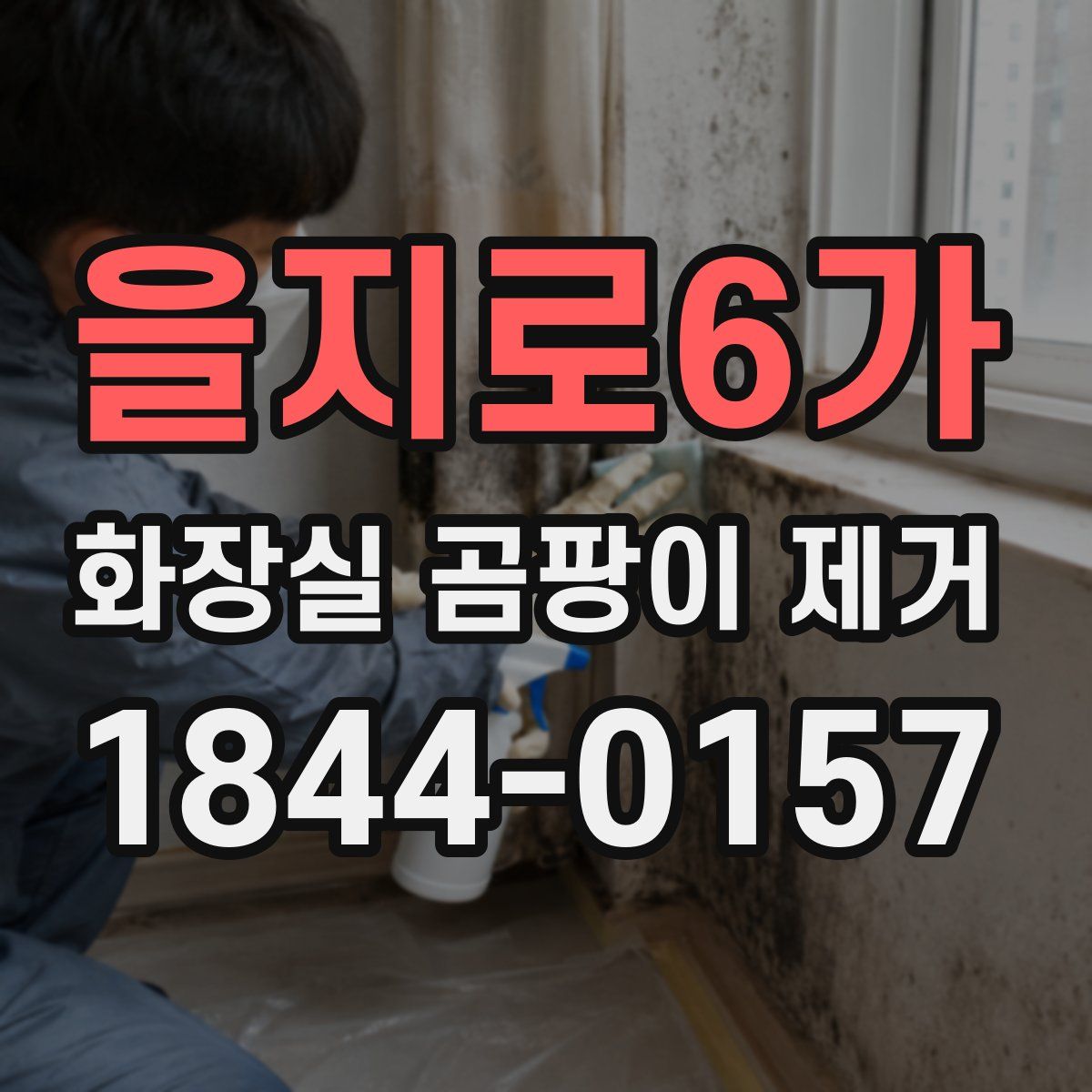 을지로6가 화장실 곰팡이 제거