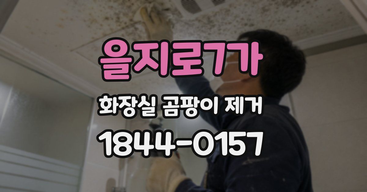 을지로7가 화장실 곰팡이 제거