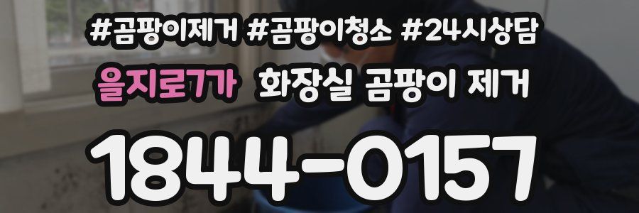 을지로7가 화장실 곰팡이 제거