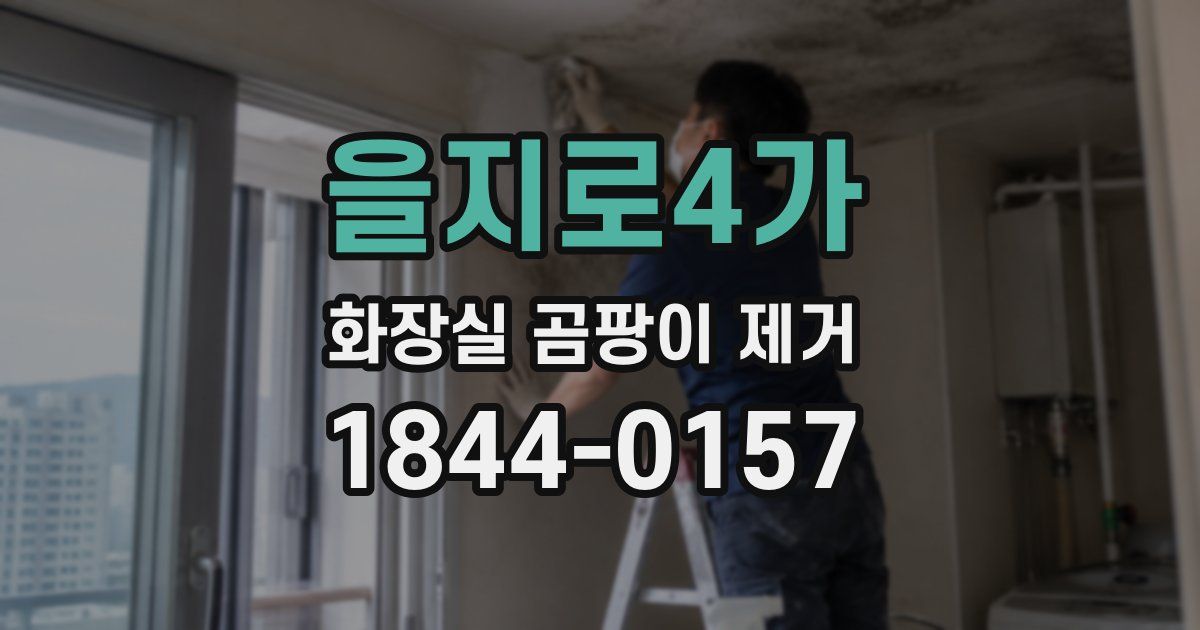 을지로4가 화장실 곰팡이 제거