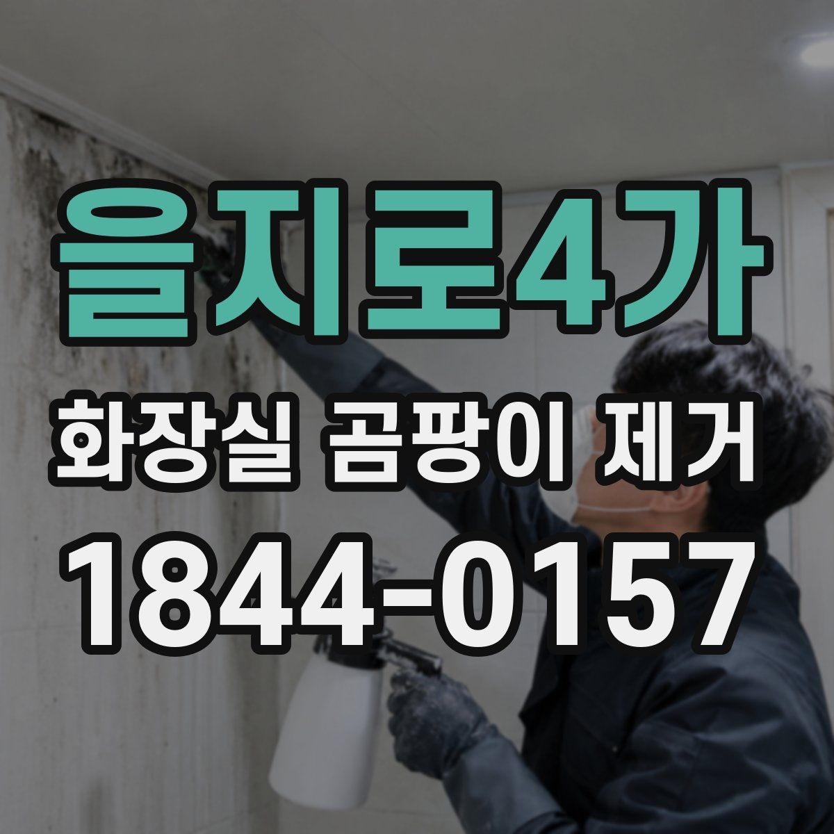 을지로4가 화장실 곰팡이 제거