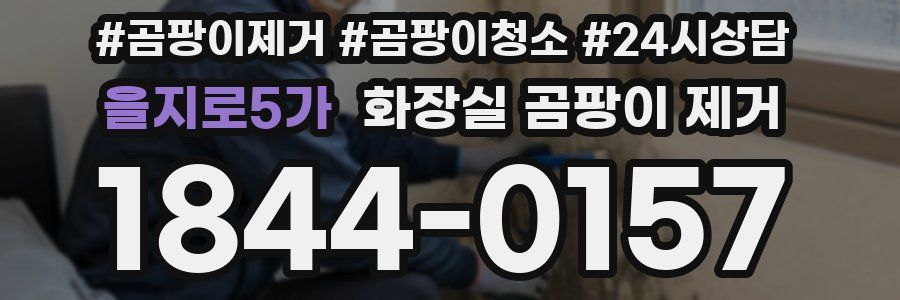을지로5가 화장실 곰팡이 제거