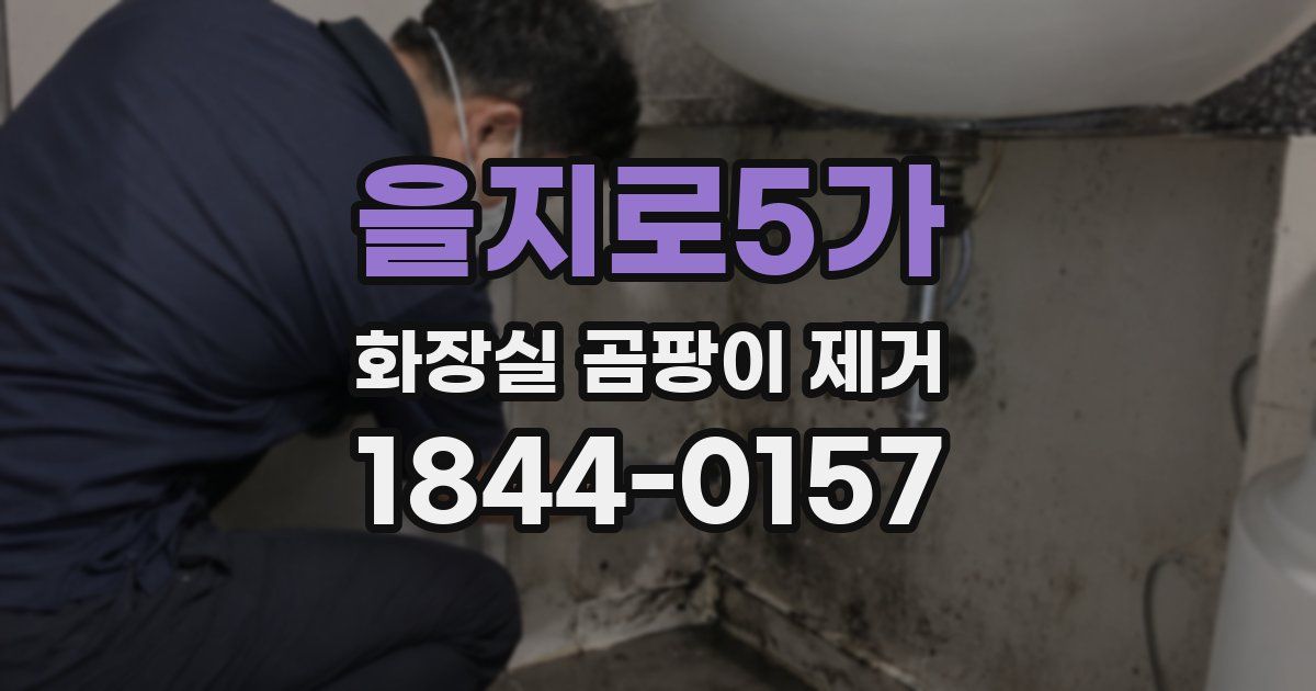 을지로5가 화장실 곰팡이 제거