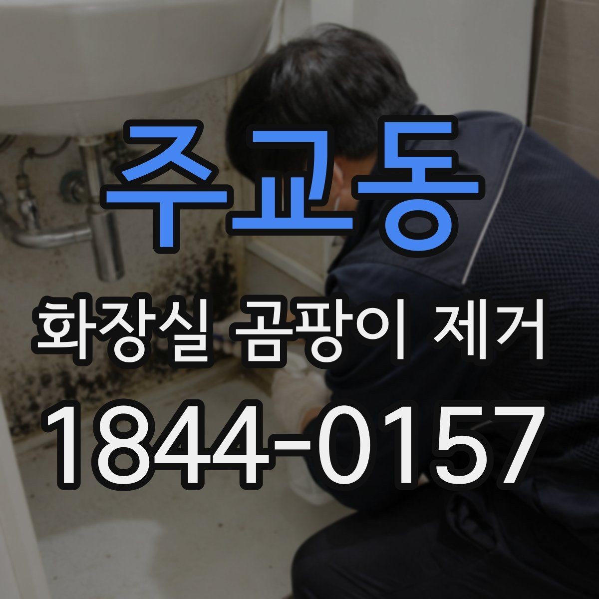주교동 화장실 곰팡이 제거 곰팡이 냄새까지 함께 정리하는 요령