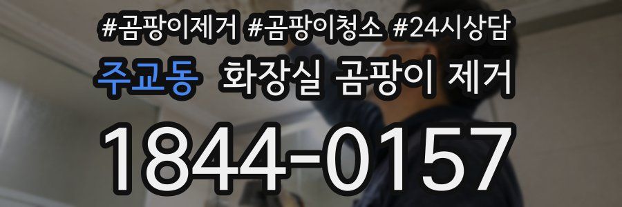 주교동 화장실 곰팡이 제거