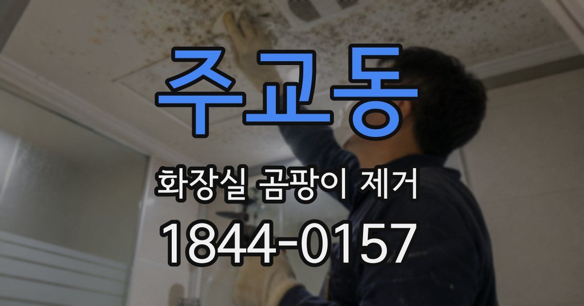 주교동 화장실 곰팡이 제거