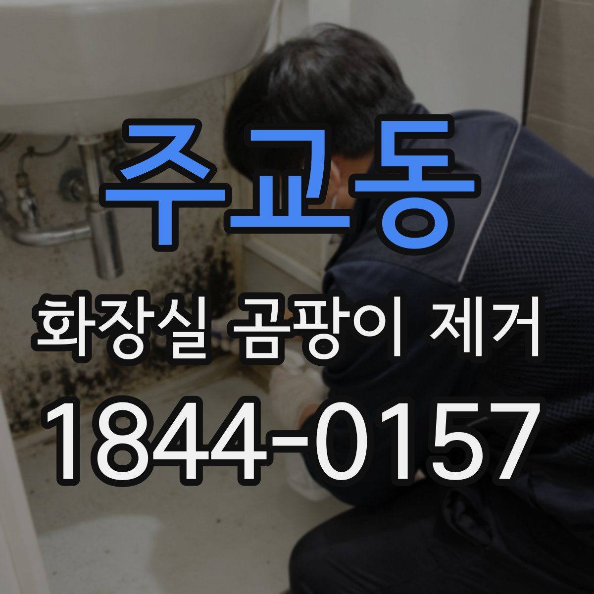 주교동 화장실 곰팡이 제거