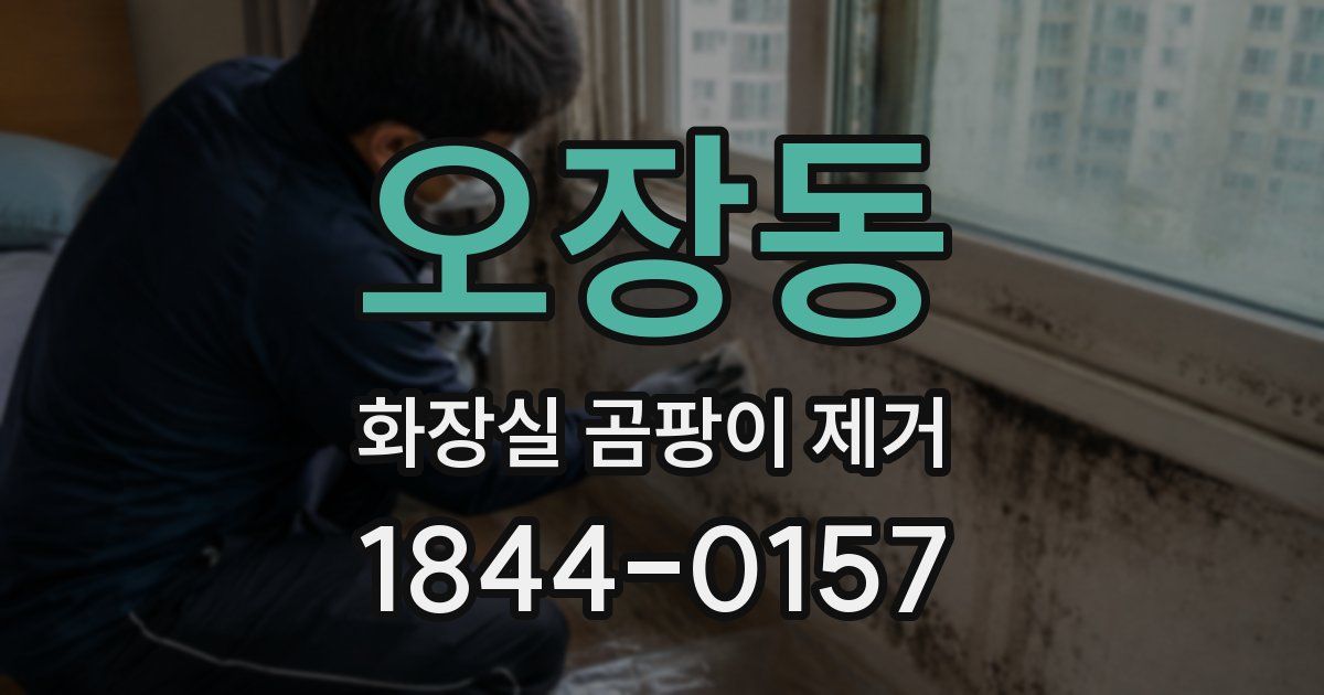 오장동 화장실 곰팡이 제거