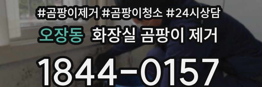 오장동 화장실 곰팡이 제거