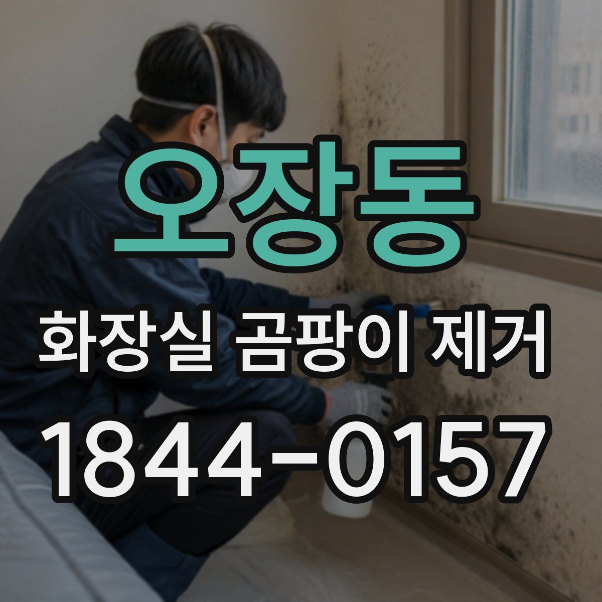 오장동 화장실 곰팡이 제거