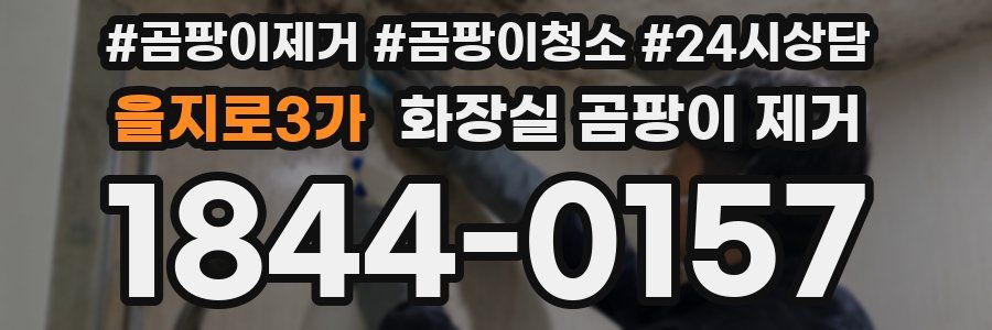 을지로3가 화장실 곰팡이 제거