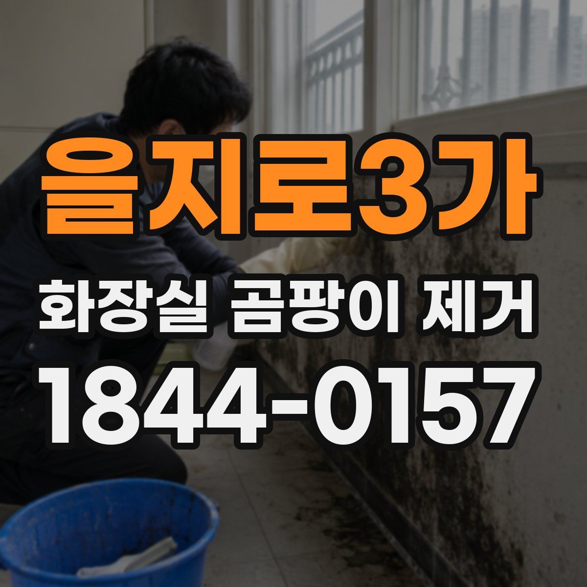 을지로3가 화장실 곰팡이 제거
