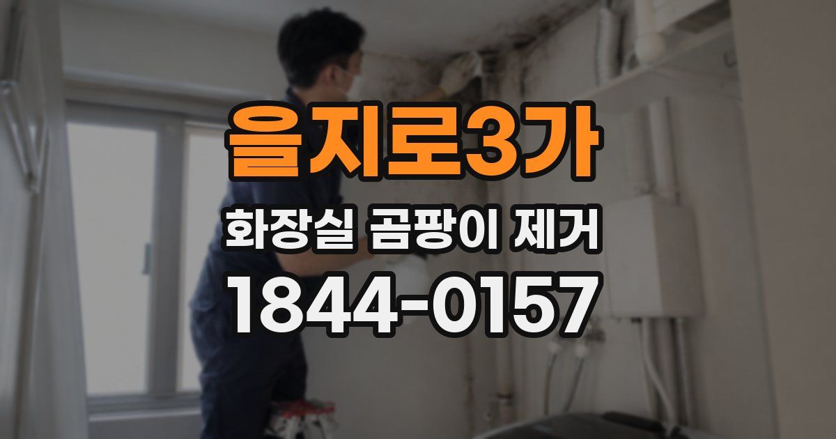 을지로3가 화장실 곰팡이 제거