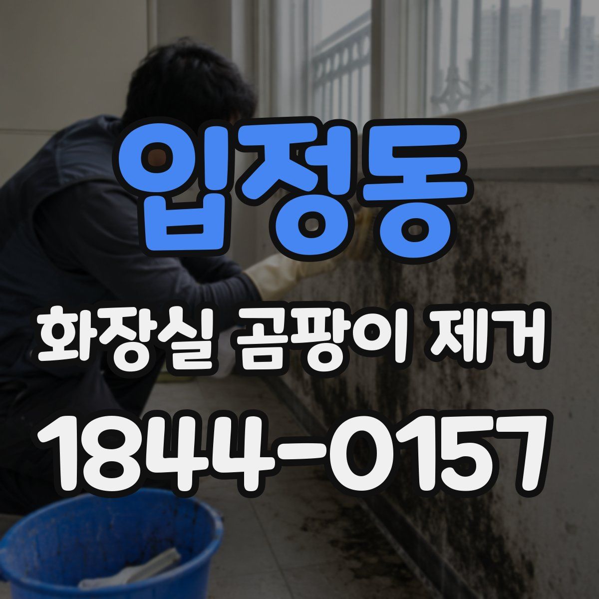 입정동 화장실 곰팡이 제거