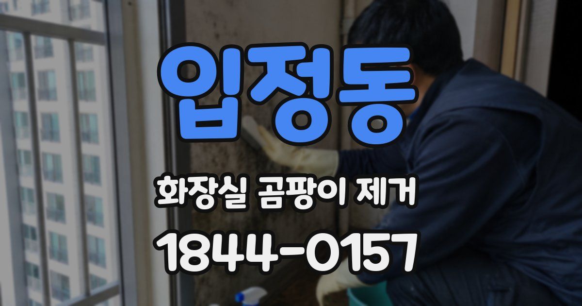 입정동 화장실 곰팡이 제거