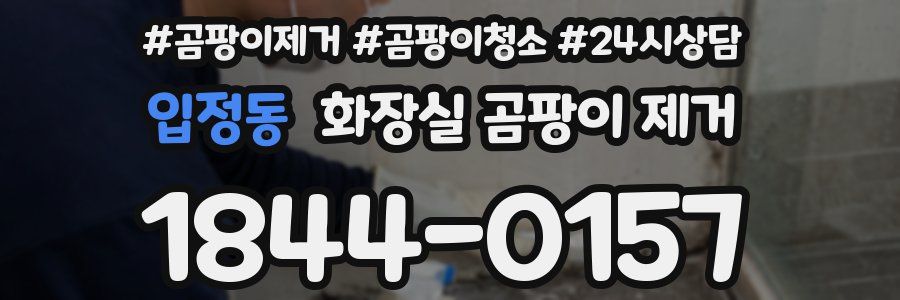 입정동 화장실 곰팡이 제거