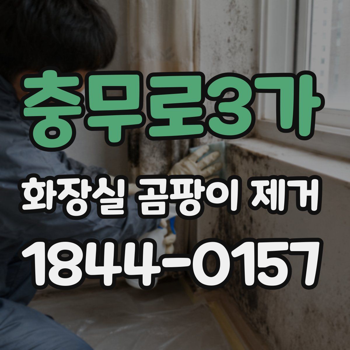 충무로3가 화장실 곰팡이 제거