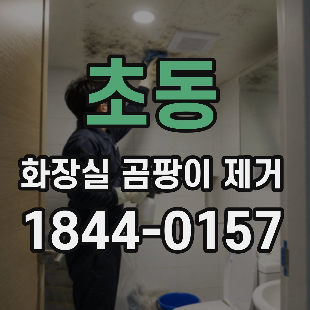 초동 화장실 곰팡이 제거
