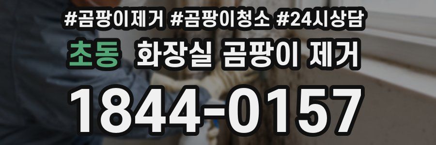 초동 화장실 곰팡이 제거