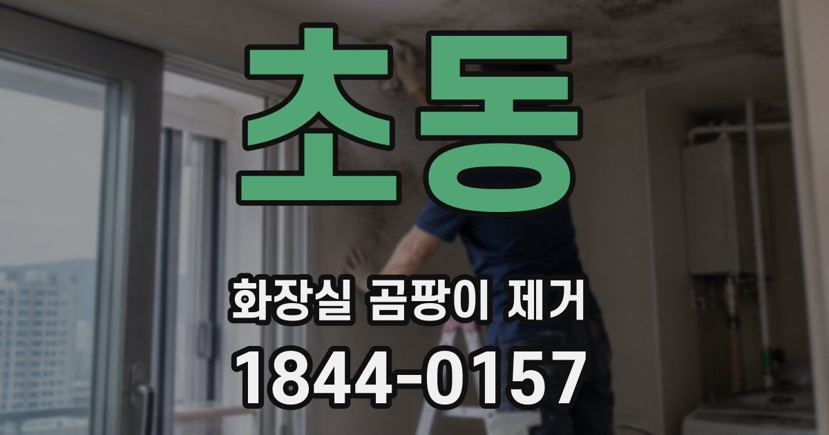 초동 화장실 곰팡이 제거