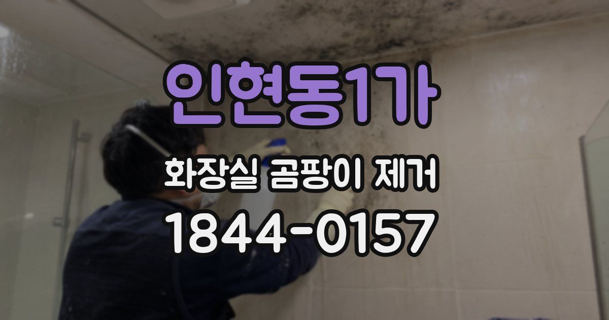 인현동1가 화장실 곰팡이 제거