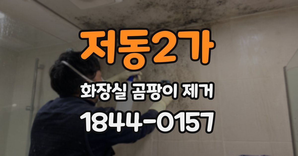 저동2가 화장실 곰팡이 제거