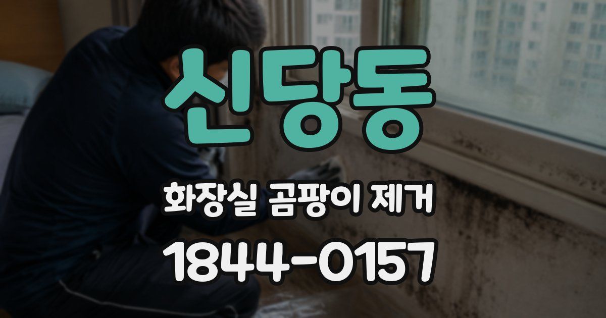 신당동 화장실 곰팡이 제거