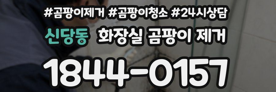 신당동 화장실 곰팡이 제거