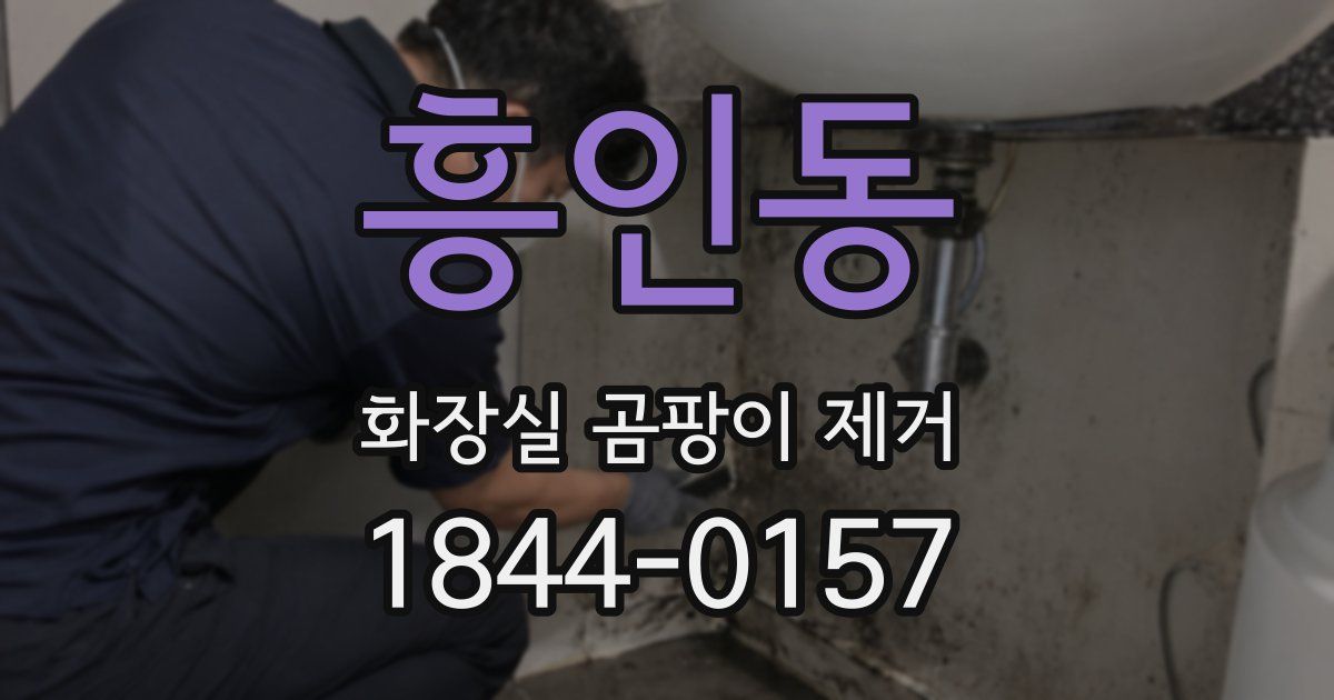 흥인동 화장실 곰팡이 제거