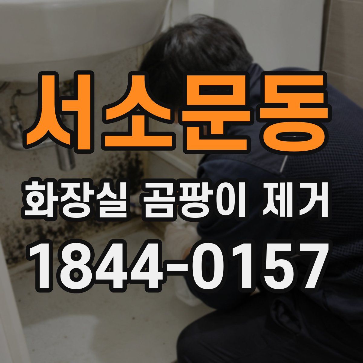 서소문동 화장실 곰팡이 제거