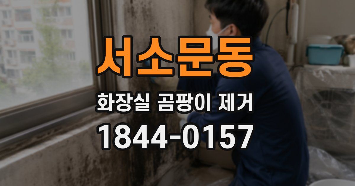 서소문동 화장실 곰팡이 제거