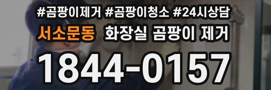 서소문동 화장실 곰팡이 제거