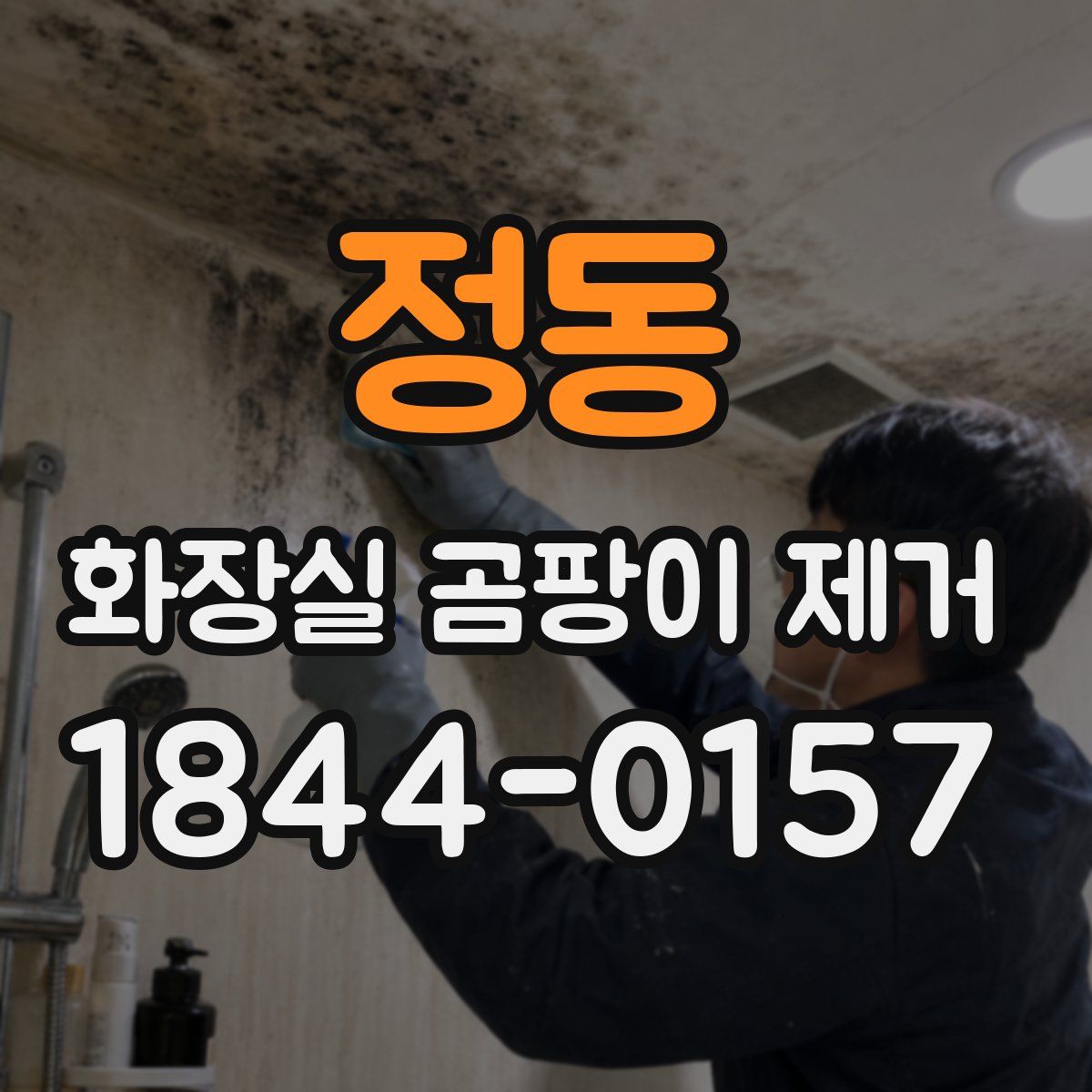 정동 화장실 곰팡이 제거