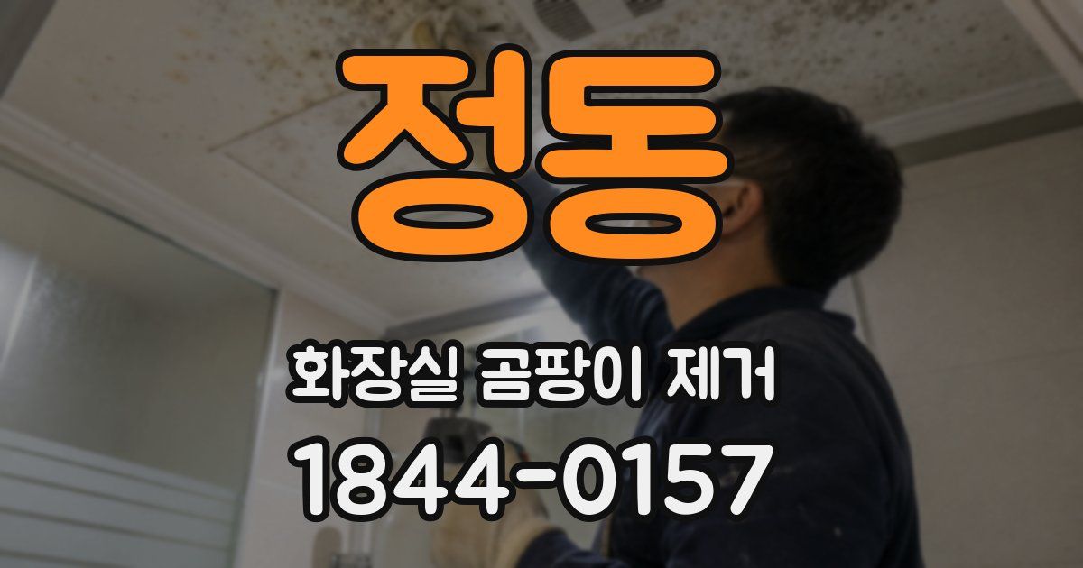 정동 화장실 곰팡이 제거