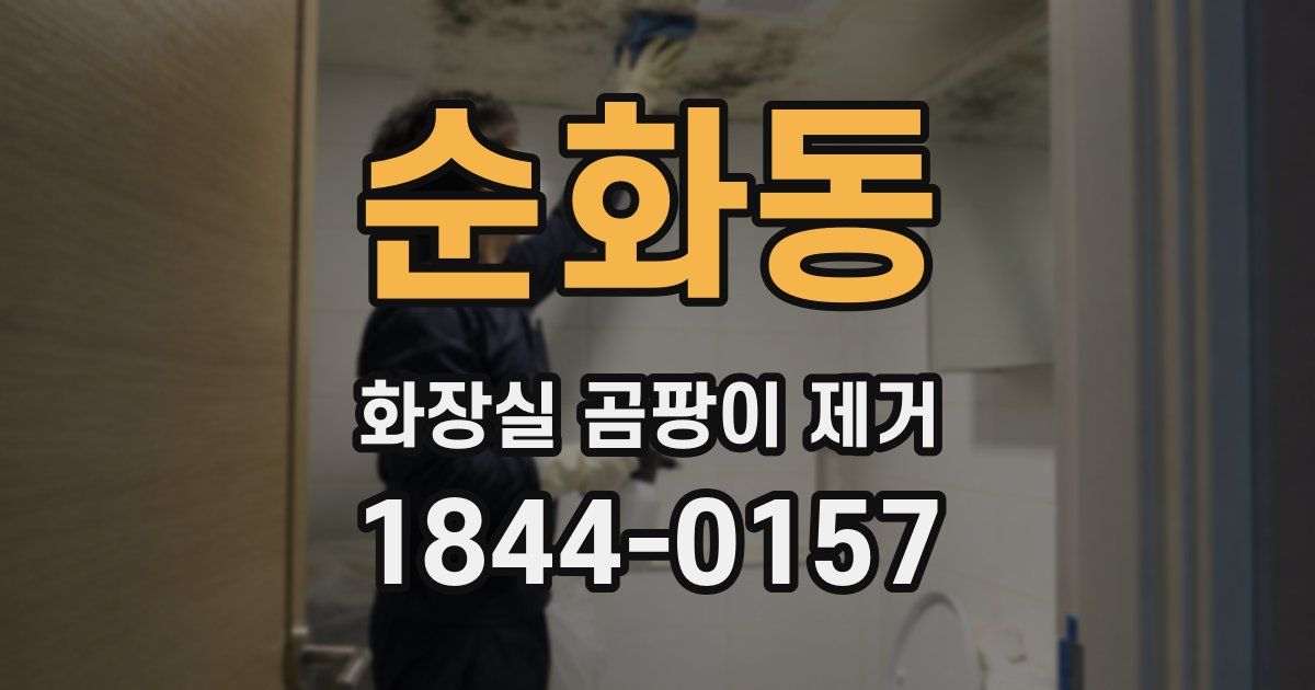 순화동 화장실 곰팡이 제거