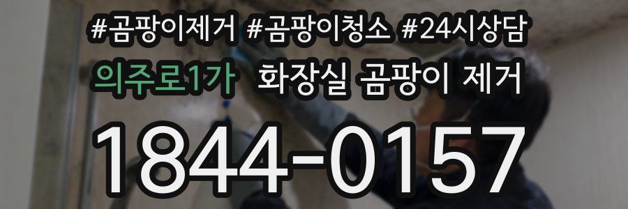 의주로1가 화장실 곰팡이 제거