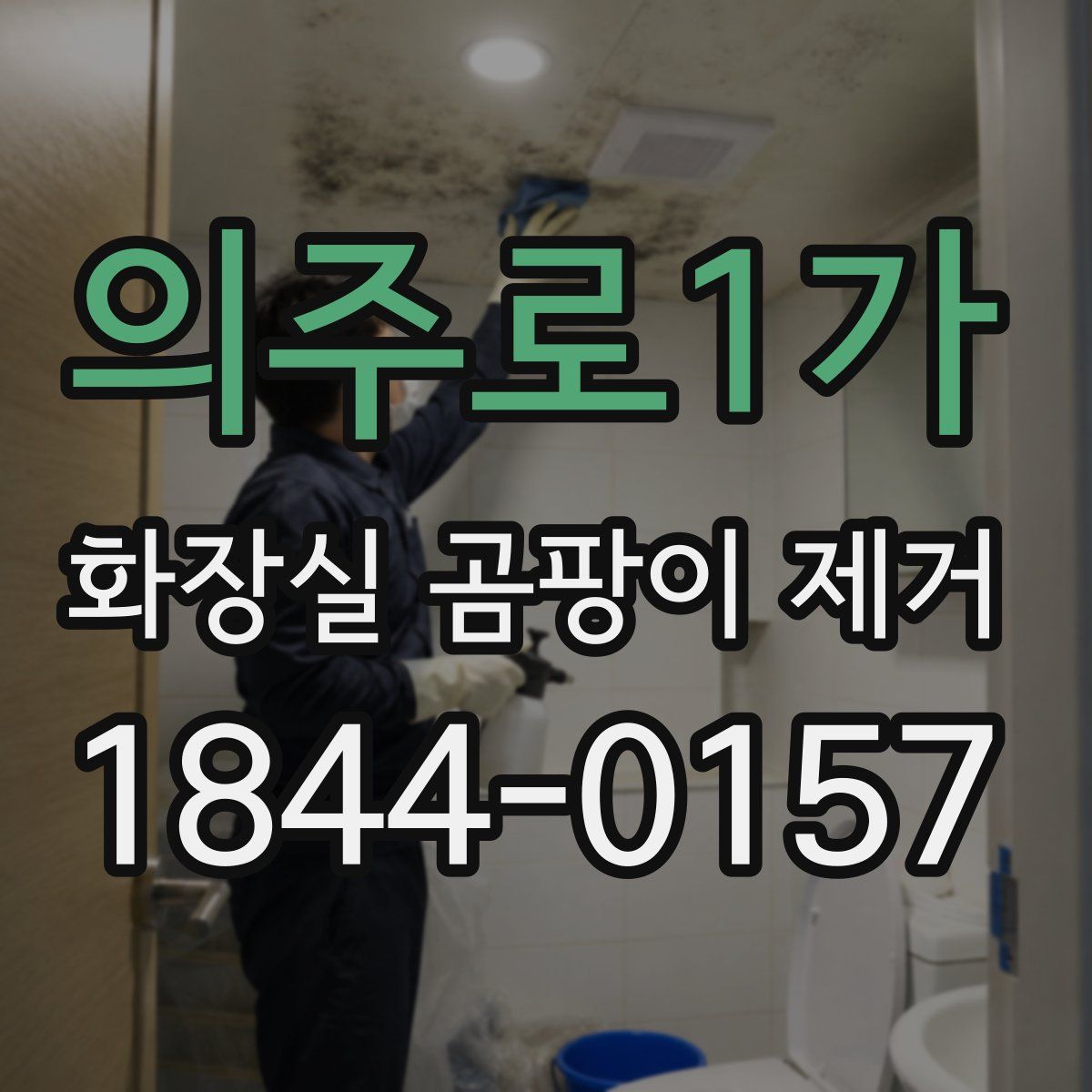 의주로1가 화장실 곰팡이 제거